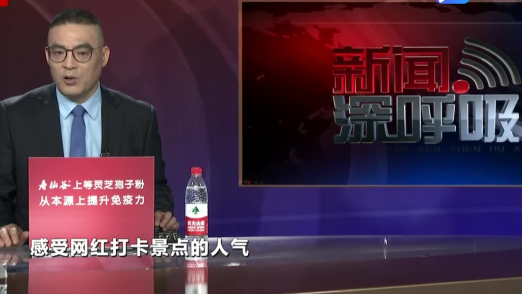 “五一”假期国内旅游收入达475.6亿元